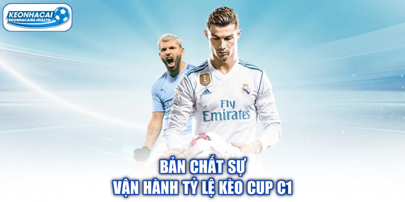 Bản chất tỷ lệ vận hành Cup C1